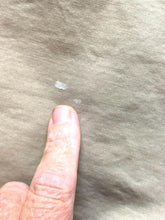 Load image into Gallery viewer, Canyon River Blues Shorts Adult 40 Tan Cargo Pockets Utility Outdoor Hiking Mens
