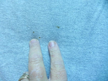 Load image into Gallery viewer, Duke Blue Devils Shirt Adult Large NCAA Sportswear Streetwear Short Sleeve Mens
