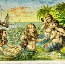 Load image into Gallery viewer, Lot of 7 Victorian Advertising Trading Cards Witch Hazel Mermaid Hair Vigor Boot
