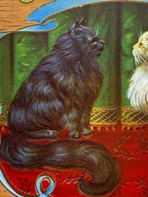 Load image into Gallery viewer, Our Kitties Embossed Cigar Box Labels Antique Tobacco Tobacciana Lot of 8
