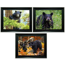 Load image into Gallery viewer, Black Bear Tripple 3D Picture   (MINIMUM OF 4)
