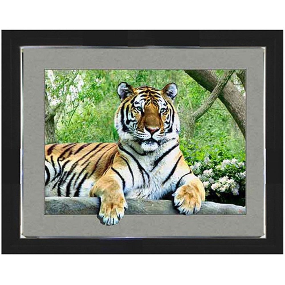 454 Tiger 5d Lenticular Picture Frame 16.5x20.5  (MINIMUM OF 4)