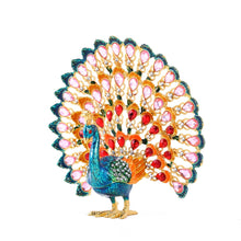 Load image into Gallery viewer, Peacock Jewelry Case
