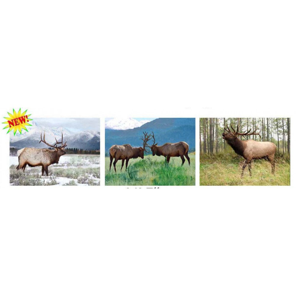LED Elk 3D Picture (Minimum of 4)