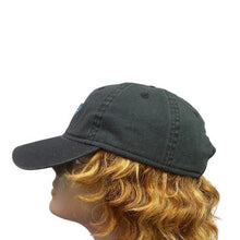 Load image into Gallery viewer, Carolina Panthers Hat Adult Adjustable Embroidered NFL Football Logo
