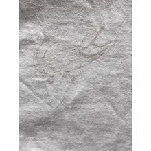 Load image into Gallery viewer, Miami Shirt Mens Medium Destination Vacation Beach Alligator AOP White
