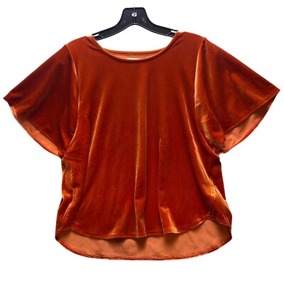 Madewell Shirt Womens Medium Velvet Top Dolman Sleeve Blouse Boho Hippie
