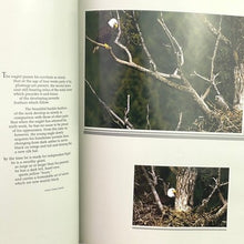 Load image into Gallery viewer, 1988 The American Eagle Hardcover Book 1st Edition HC Tom Pat Leeson Photography

