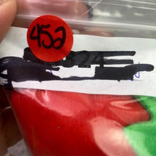 Load image into Gallery viewer, Christmas Dog Pet Toy 9" Squeaker Crinkle Ears Elf Hat Collar Metro Pawlin
