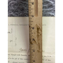 Load image into Gallery viewer, Antique 1894 Lunatic Commitment Court Paper Georgia Vintage Ephemera
