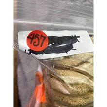 Load image into Gallery viewer, Lion Dog Toy Squeaker Corduroy 12" long Metro PawLin Pet
