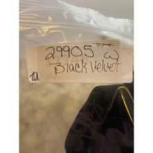 Load image into Gallery viewer, Another Thyme  Dress Womens 14 Black Velvet Party Cocktail Old Money Strappy
