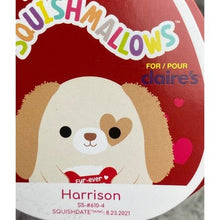 Load image into Gallery viewer, Lot of 2 Squishmallows Harrison Delroy Plush Exclusive NWT
