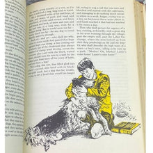 Load image into Gallery viewer, The Bookshelf for Boys and Girls Hardcover Book Volume VIII Bookland Classic Vtg
