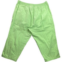 Load image into Gallery viewer, Jane Ashley Pants Womans 2XL Flamingo Embroidered Sequin Capri Mature Beachy

