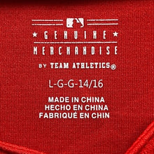 Load image into Gallery viewer, Washington Nationals Jersey Boys Large MLB Baseball Spell Out Athleisure
