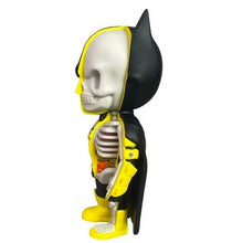 Load image into Gallery viewer, Yellow Lantern Batman Dissected Vinyl Figure Half Skeleton XXRay Collectible
