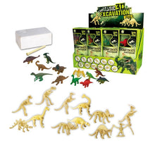 Load image into Gallery viewer, Dinosaur Skeleton Fossil Excavation Kit (Pack Of 12 Variety)
