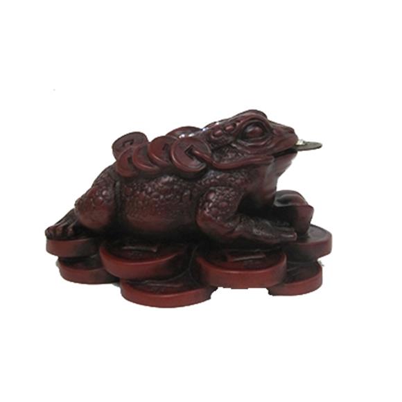 RED MONEY TOAD ON COINS