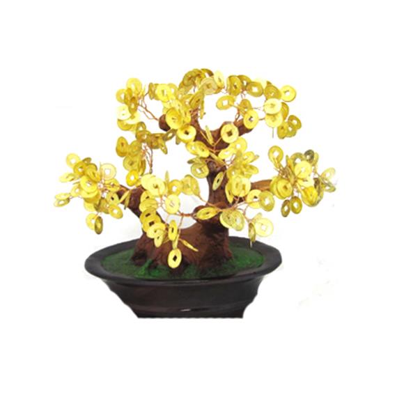 GOLD COIN TREE