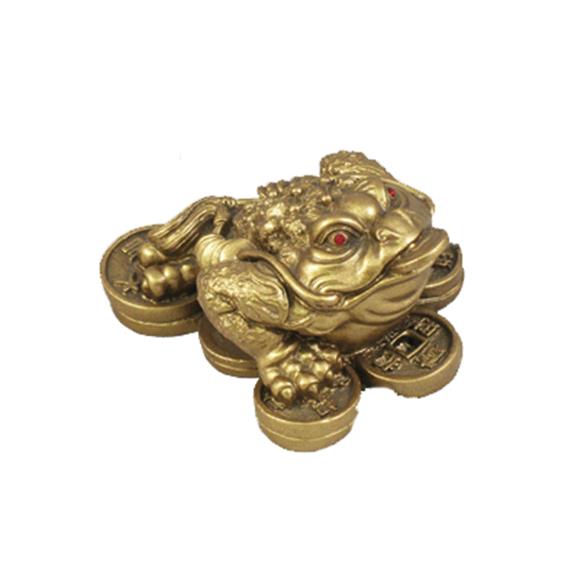 GOLD COIN TOAD