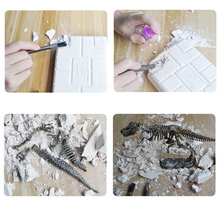 Load image into Gallery viewer, Dinosaur Skeleton Fossil Excavation Kit (T-Rex)  (available for purchase in increments of 1)
