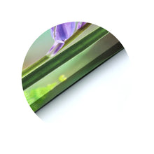 Load image into Gallery viewer, Hummingi bird ultra-High Definition Canvases print(Minimum of 4)
