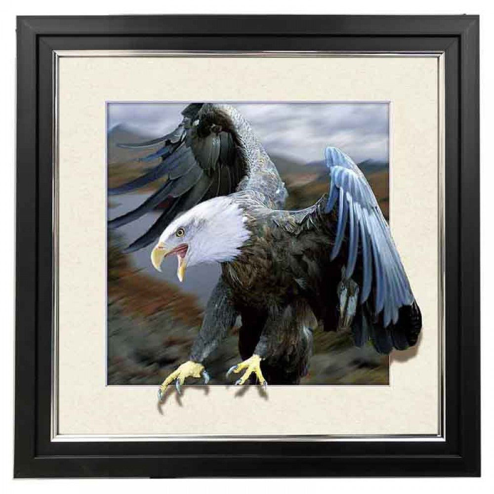 415* Eagle 5d Lenticular Picture Frame 18x18  (MINIMUM OF 4)