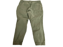 Load image into Gallery viewer, Duluth Pants Womens 16 (33x24) Utility Cropped Zip Pocket Outdoor Spandex Lady
