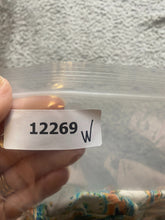 Load image into Gallery viewer, Chicos Shirt Womens 3 AOP Paisley Blouse Flowy Peacock Plus Ladies
