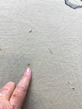 Load image into Gallery viewer, VTG Lake Arcadia Triathlon Shirt Adult Extra Large Khaki Single Stitch Frog 90s
