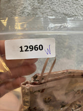 Load image into Gallery viewer, Haute Monde Bra Womens Extra Large Crop Bustier Bralette AOP Flower Ladies
