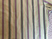 Load image into Gallery viewer, Tailorbyrd Shirt Adult Medium Green Blue Purple Striped Casual Flamingo Mens
