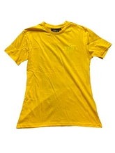 Load image into Gallery viewer, Trip City Shirt Womens Medium Flying Flame Skeleton Earthy Gothic Velvet NWT
