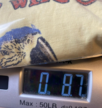 Load image into Gallery viewer, Joe Marlin Shirt Adult Large Band On The Rum Unwind Paulie McCracker Parrot Mens

