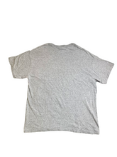 Load image into Gallery viewer, VTG SHEDD AQUARIUM Shirt Adult Large Gray Chicago Dolphin Streetwear Y2K Mens
