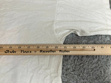 Load image into Gallery viewer, Vintage Texas Shirt Adult Large Iguana Cactus Destination Single Stitch USA Mens
