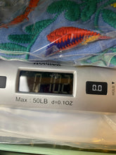 Load image into Gallery viewer, Foxy Women Dress Womens Medium Blue Embroidered Flower Denim Flared Grandmacore
