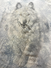 Load image into Gallery viewer, The Mountain Shirt Adult Extra Large Gray Tie Dye Snow Plow Wolf Wolves Mens
