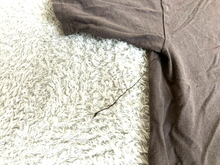 Load image into Gallery viewer, The Duck Co Shirt Adult Extra Large Brown Horny Buffalo Whiskey Distilling Mens
