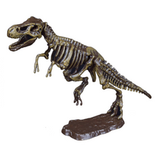 Load image into Gallery viewer, Dinosaur Skeleton Fossil Excavation Kit (T-Rex)  (available for purchase in increments of 1)
