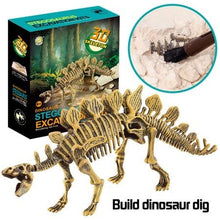 Load image into Gallery viewer, Dinosaur Skeleton Fossil Excavation Kit (Stegosaurus)  (available for purchase in increments of 1)
