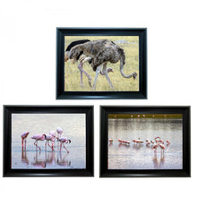 Load image into Gallery viewer, Flamingo bird Tripple 3D Picture  (MINIMUM OF 4)
