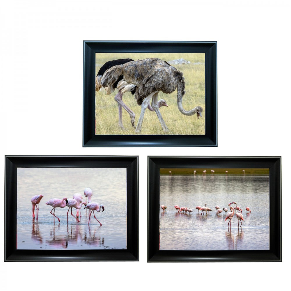 Flamingo bird Tripple 3D Picture  (MINIMUM OF 4)