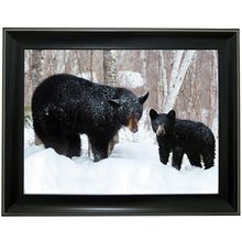 Load image into Gallery viewer, Bear 3D Picture  (MINIMUM OF 4)
