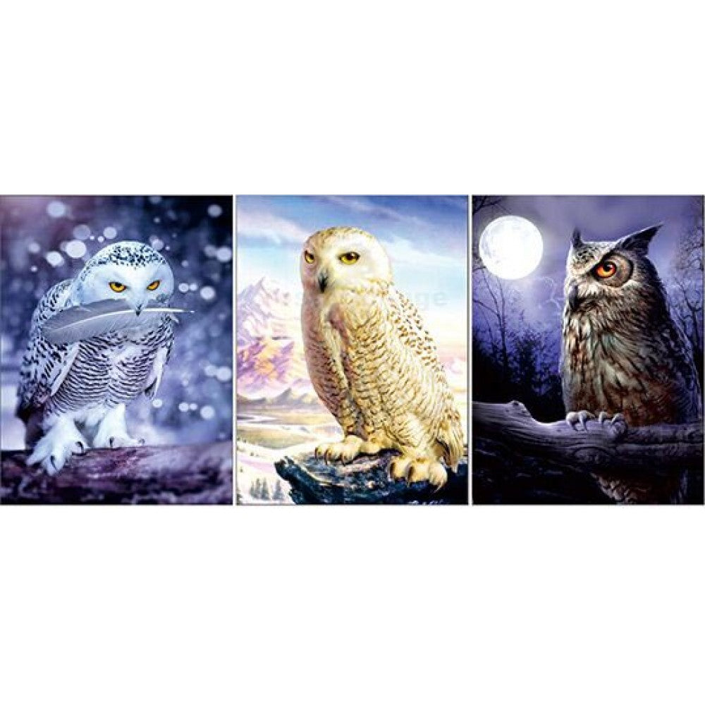 led Owl Tripple 3D Picture   (MINIMUM OF 4)