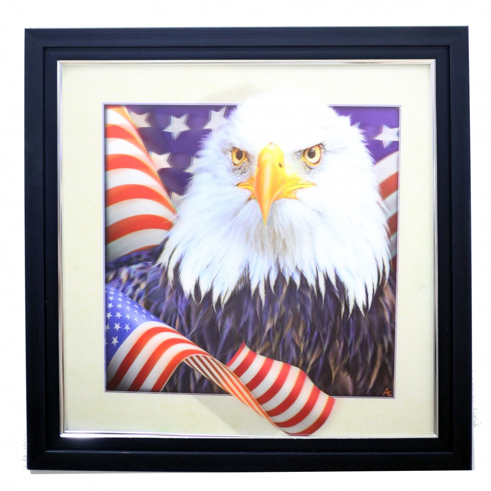466* Bald Eagle 5d Lenticular Picture Frame 18x18  (MINIMUM OF 4)