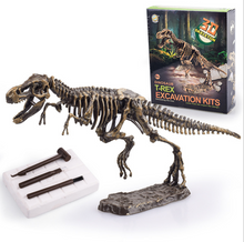 Load image into Gallery viewer, Dinosaur Skeleton Fossil Excavation Kit (T-Rex)  (available for purchase in increments of 1)
