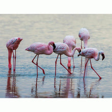 Load image into Gallery viewer, Flamingo bird Tripple 3D Picture  (MINIMUM OF 4)

