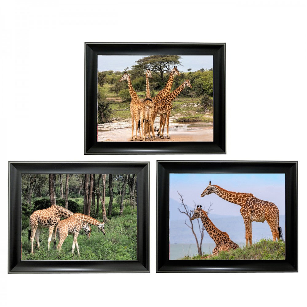Giraffe Tripple 3D Picture (MINIMUM OF 4)